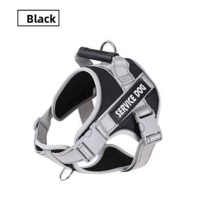 Dog leash - retractable walking rope