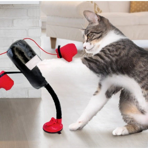 Cat Boxing Toy